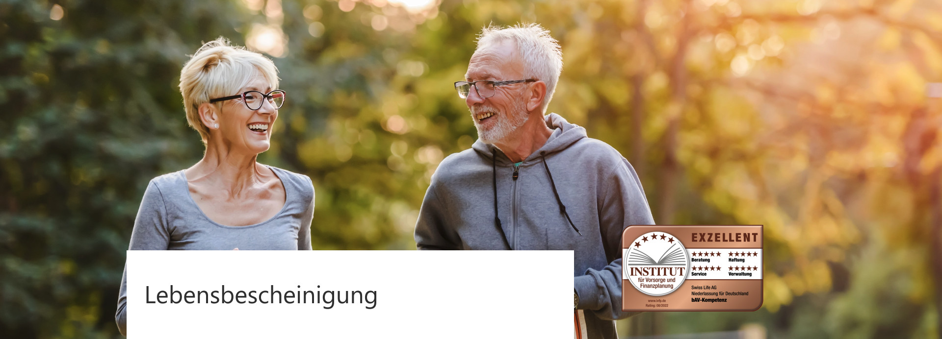 Beschreibung des Bildes